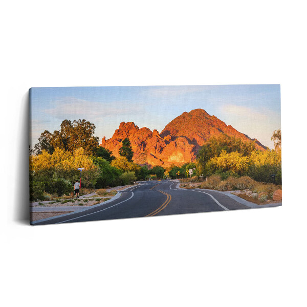 Obraz canvas 100x50 cm Pohled na horu Camelback