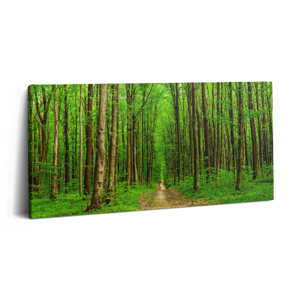 Obraz z fotografie na plátně 120x60 cm Lesní cesta mezi stromy