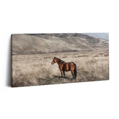 Obraz na plátně 120x60 cm Hřebec mezi trávou