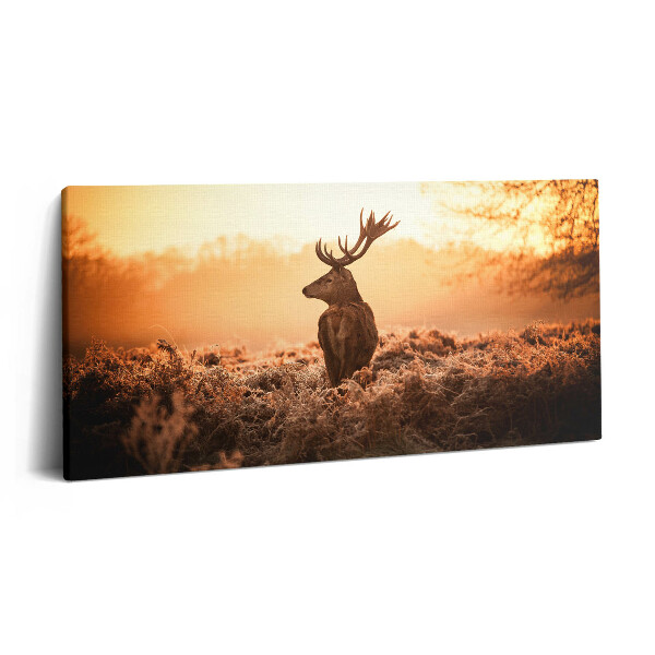 Obraz canvas 120x60 cm Jelen při východu slunce
