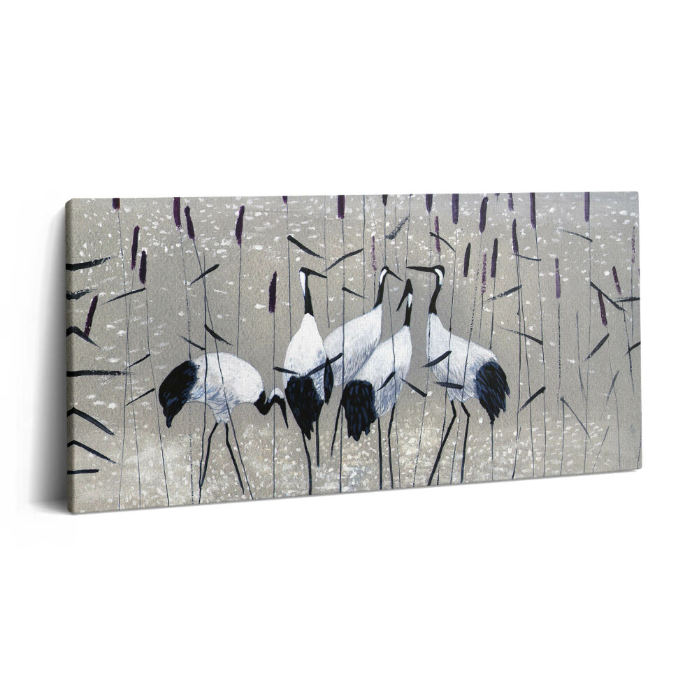 Obraz z fotografie na plátně 120x60 cm Rákosoví jeřábi