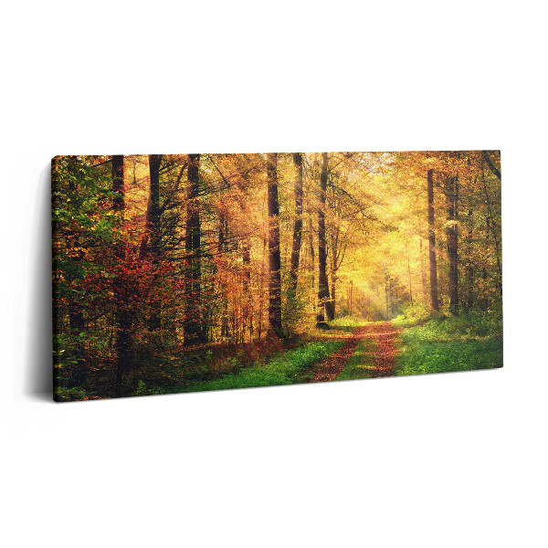 Obraz z fotografie na plátně 120x60 cm Podzimní krajina lesa