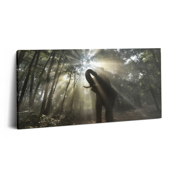 Obraz z fotografie na plátně 120x60 cm Slon v džungli