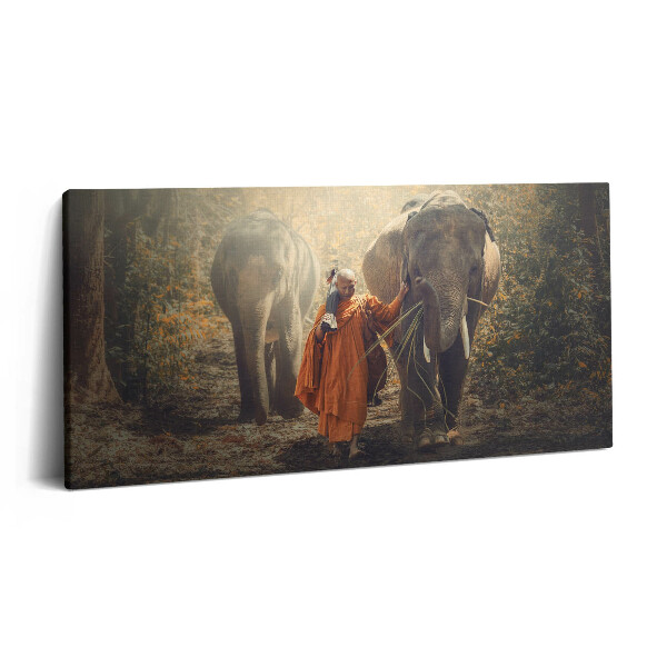 Obraz na plátně 120x60 cm Mnich a sloni