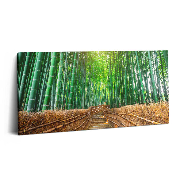 Obraz na plátně 120x60 cm Cesta v bambusovém lese