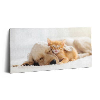 Obraz z fotografie na plátně 120x60 cm Spící zvířata kočka a pes