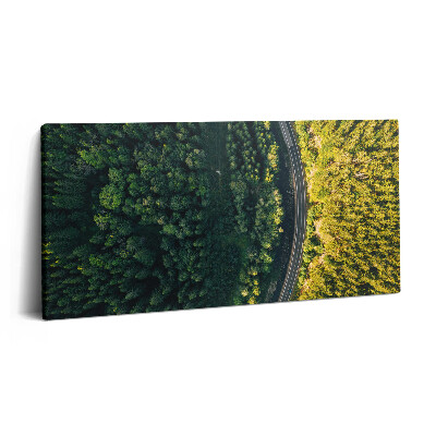 Obraz z fotografie na plátně 120x60 cm Les z dronu - Sněžná hora