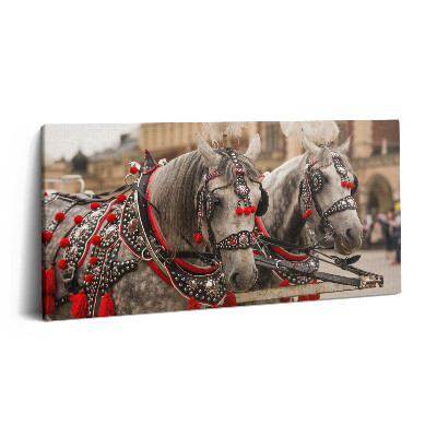 Obraz z fotografie na plátně 120x60 cm Krásní koně v Krakově