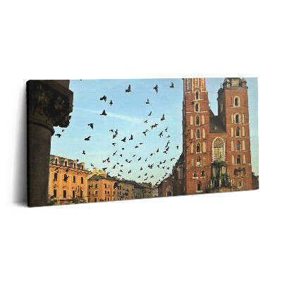 Obraz na plátně 120x60 cm Holubi v Krakově