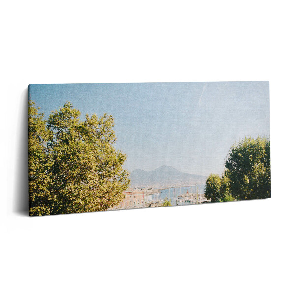 Obraz canvas 120x60 cm Zelené stromy v Neapoli