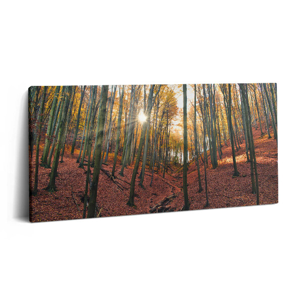 Obraz canvas 120x60 cm Západ slunce a stromy