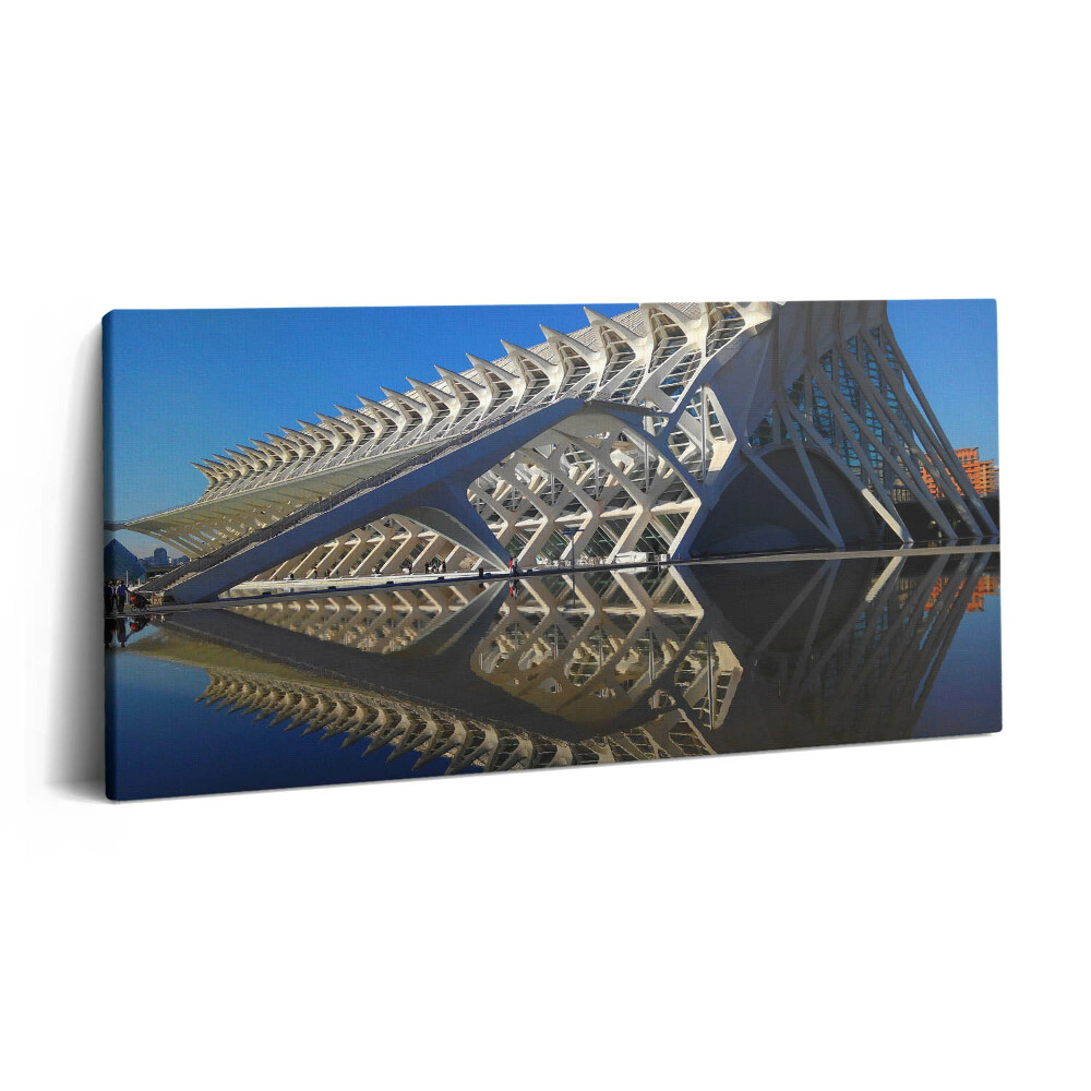 Obraz na plátně 120x60 cm Muzeum vědy ve Valencii