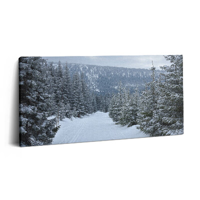 Obraz na plátně 120x60 cm České Krkonoše v zimě