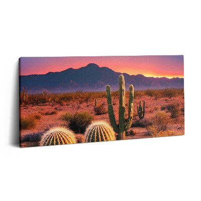 Obraz z fotografie na plátně 120x60 cm Západ slunce v poušti