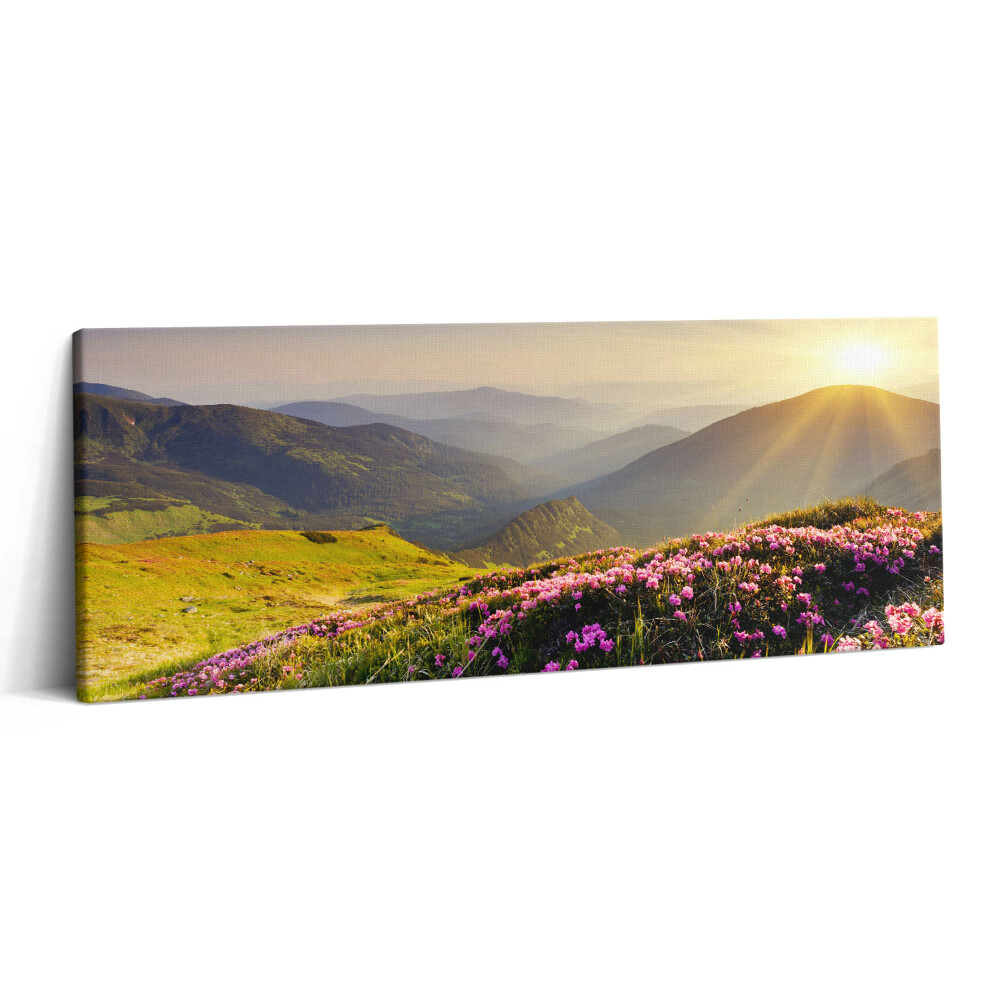 Obraz canvas 125x50 cm Hory a louka s květinami