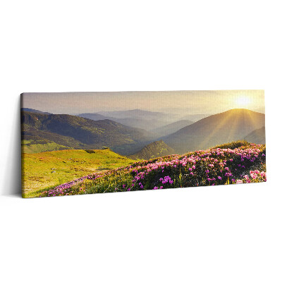 Obraz canvas 125x50 cm Hory a louka s květinami