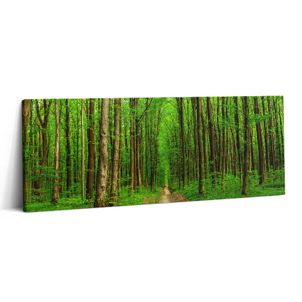 Obraz canvas 125x50 cm Lesní cesta mezi stromy