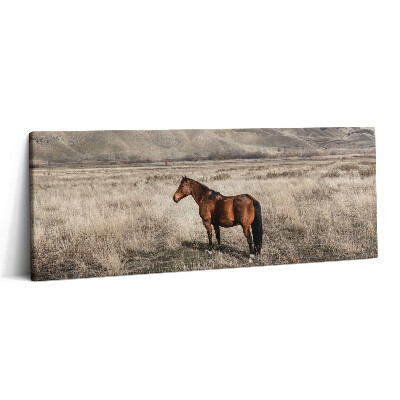 Obraz canvas 125x50 cm Hřebec mezi trávou