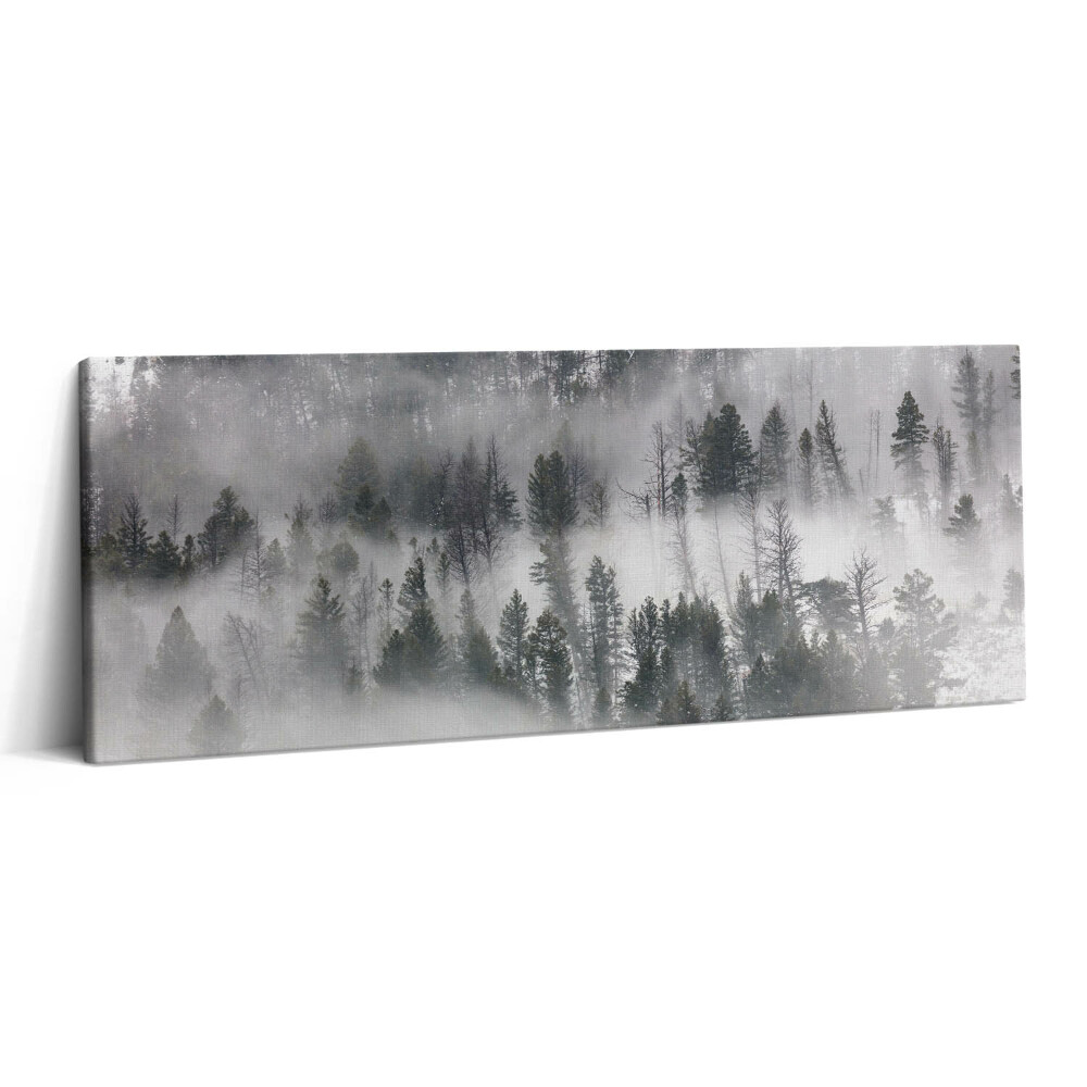 Obraz canvas 125x50 cm Mlžná krajina v lese