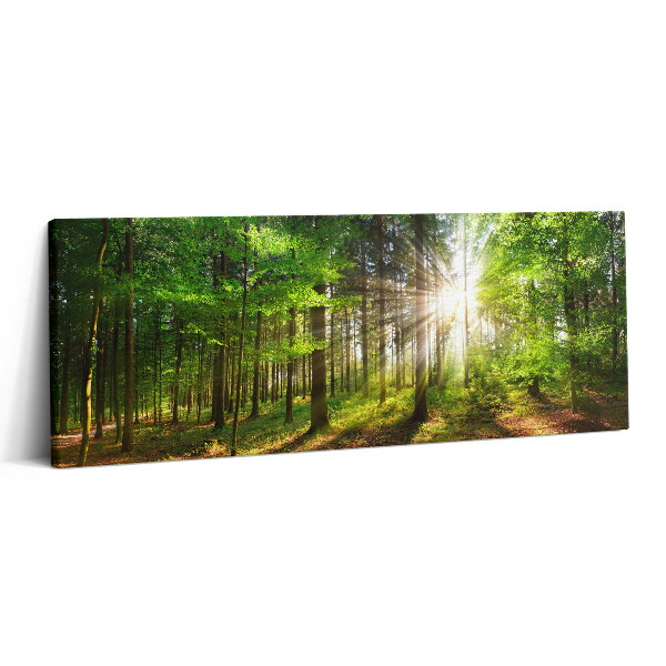 Obraz canvas 125x50 cm Les a východ slunce