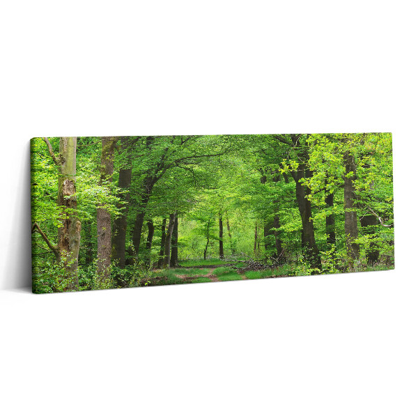 Obraz canvas 125x50 cm Lesní cesta pod stromy
