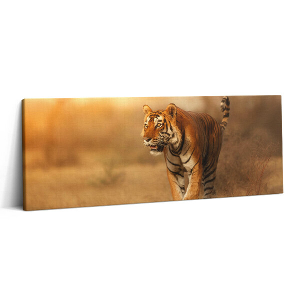 Obraz canvas 125x50 cm Divoký tygr na lovu