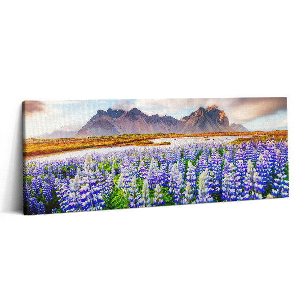 Obraz canvas 125x50 cm Kouzelné květy lupiny