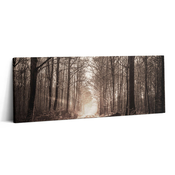 Obraz canvas 125x50 cm Lesní cesta v sépiových barvách
