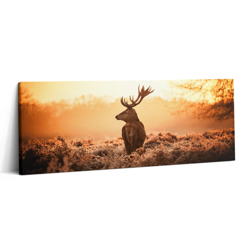 Obraz canvas 125x50 cm Jelen při východu slunce