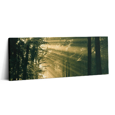 Obraz canvas 125x50 cm Sluneční svit v lese