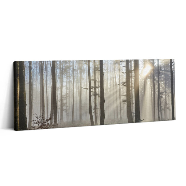 Obraz canvas 125x50 cm Les v mlze