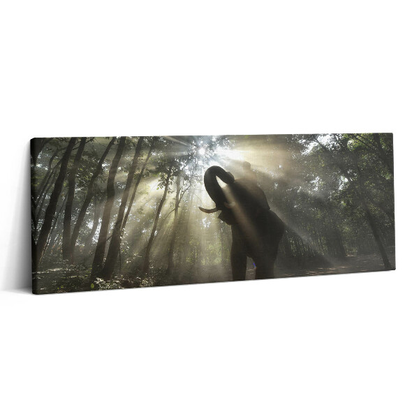 Obraz canvas 125x50 cm Slon v džungli