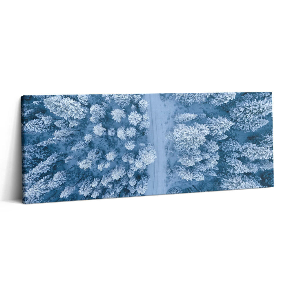 Obraz canvas 125x50 cm Les z ptačí perspektivy. Drony