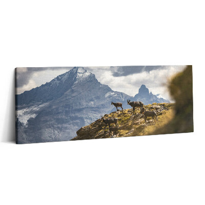 Obraz canvas 125x50 cm Kozy a údolí Aosta v Itálii