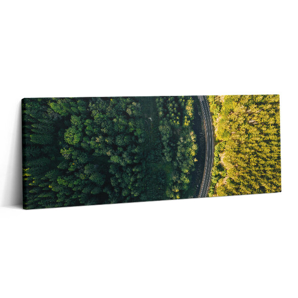 Obraz canvas 125x50 cm Les z dronu - Sněžka