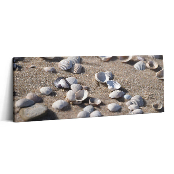 Obraz canvas 125x50 cm Mušle na pláži