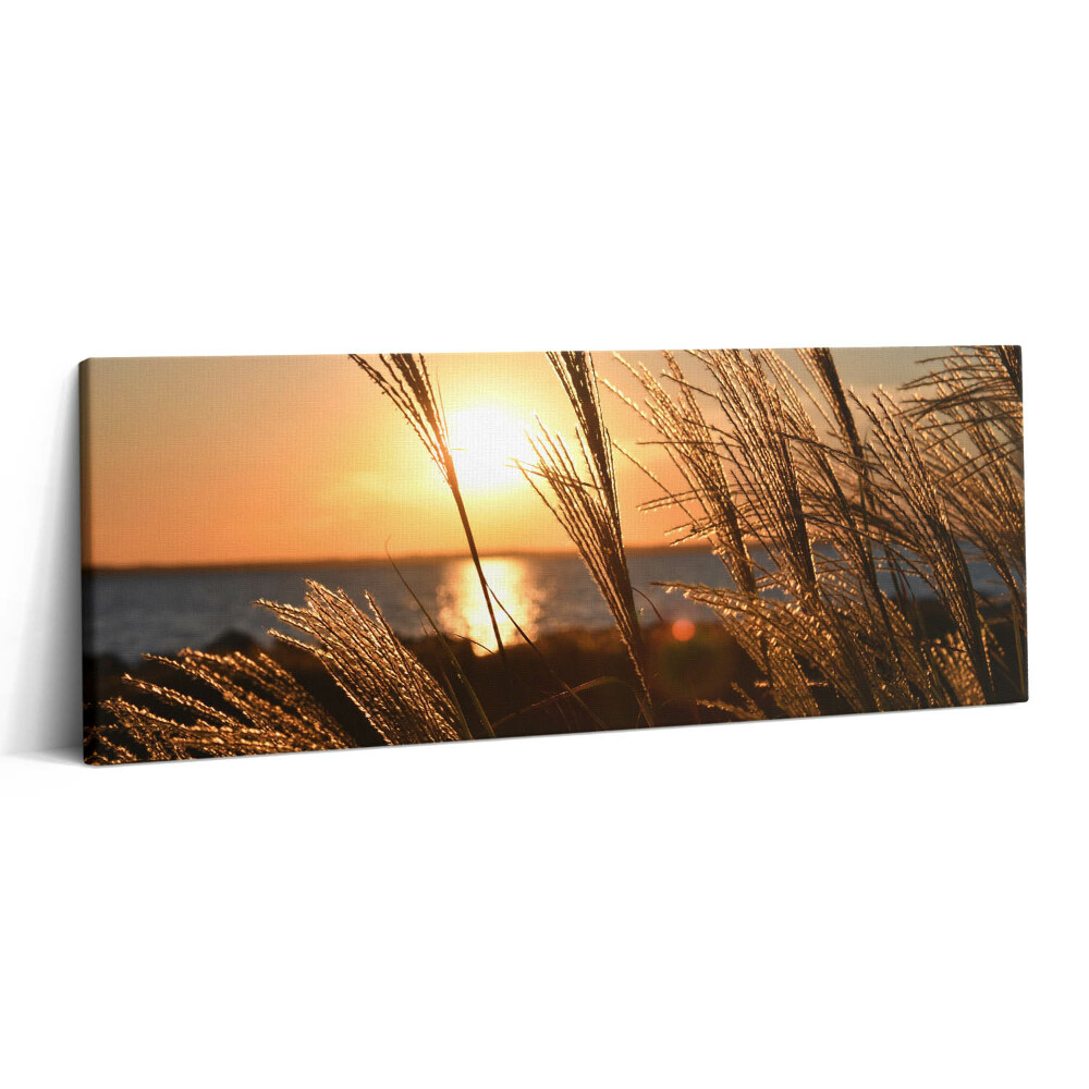 Obraz canvas 125x50 cm Pšenice ve zlaté hodině