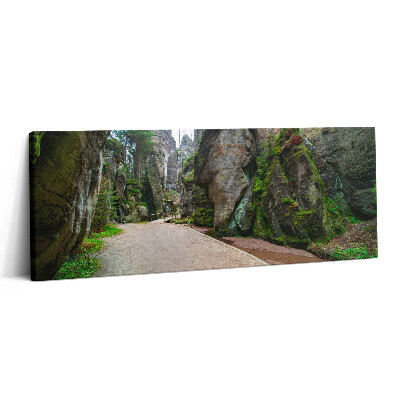 Obraz canvas 125x50 cm Skalní město v České republice