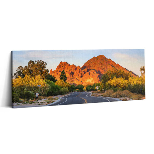 Obraz canvas 125x50 cm Pohled na horu Camelback