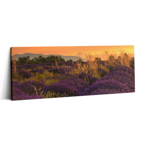 Obraz canvas 125x50 cm Levandulová louka Provence Francie