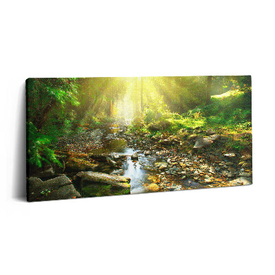 Obraz z fotografie na plátně 140x70 cm Lesní potok na slunci