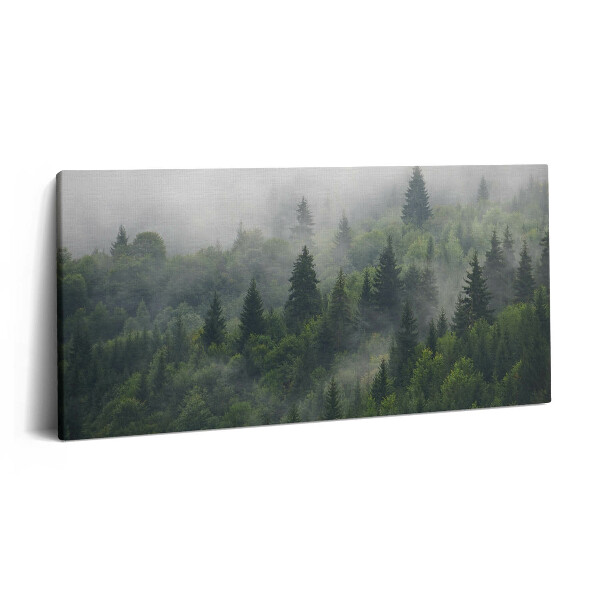 Obraz canvas 140x70 cm Lesní krajina v mlze