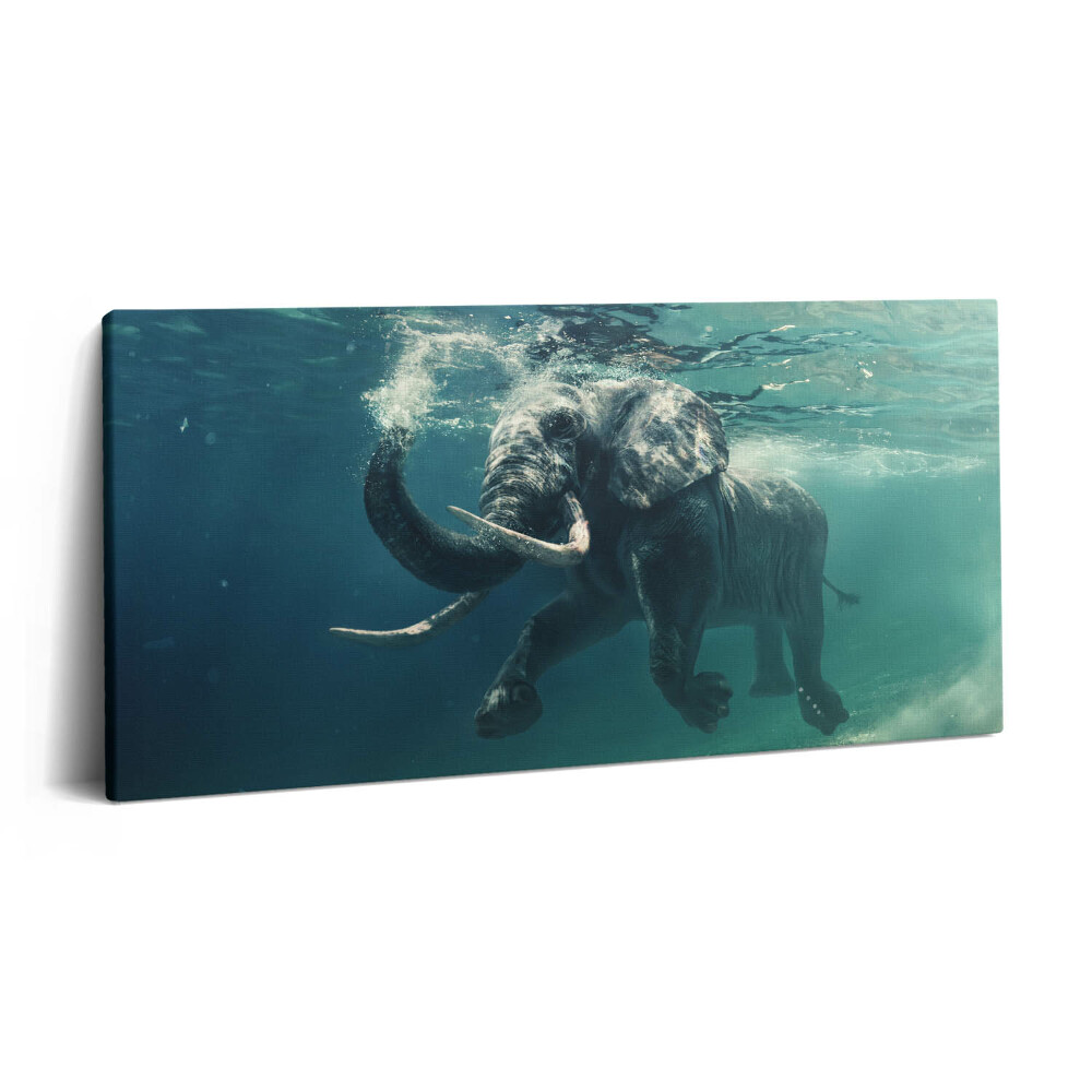 Obraz na plátně 140x70 Slon africký ve vodě