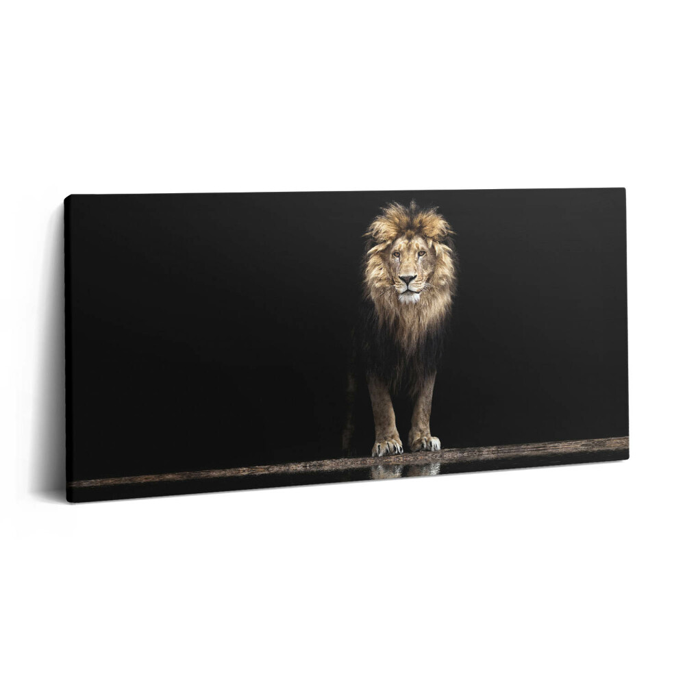 Obraz canvas 140x70 cm Osamělé divoké zvíře lev