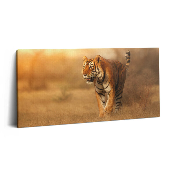 Obraz canvas 140x70 cm Divoký tygr na lovu