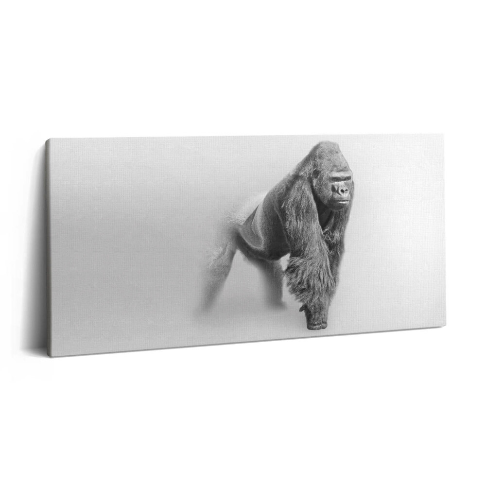 Obraz canvas 140x70 cm Sbírka uměleckých děl z divoké přírody