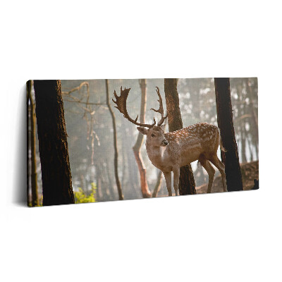 Obraz canvas 140x70 cm Jelen v záři vycházejícího slunce