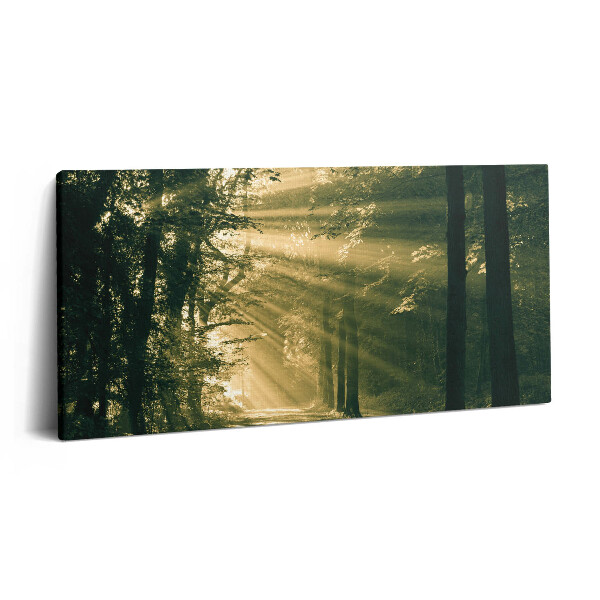 Obraz canvas 140x70 cm Sluneční svit v lese