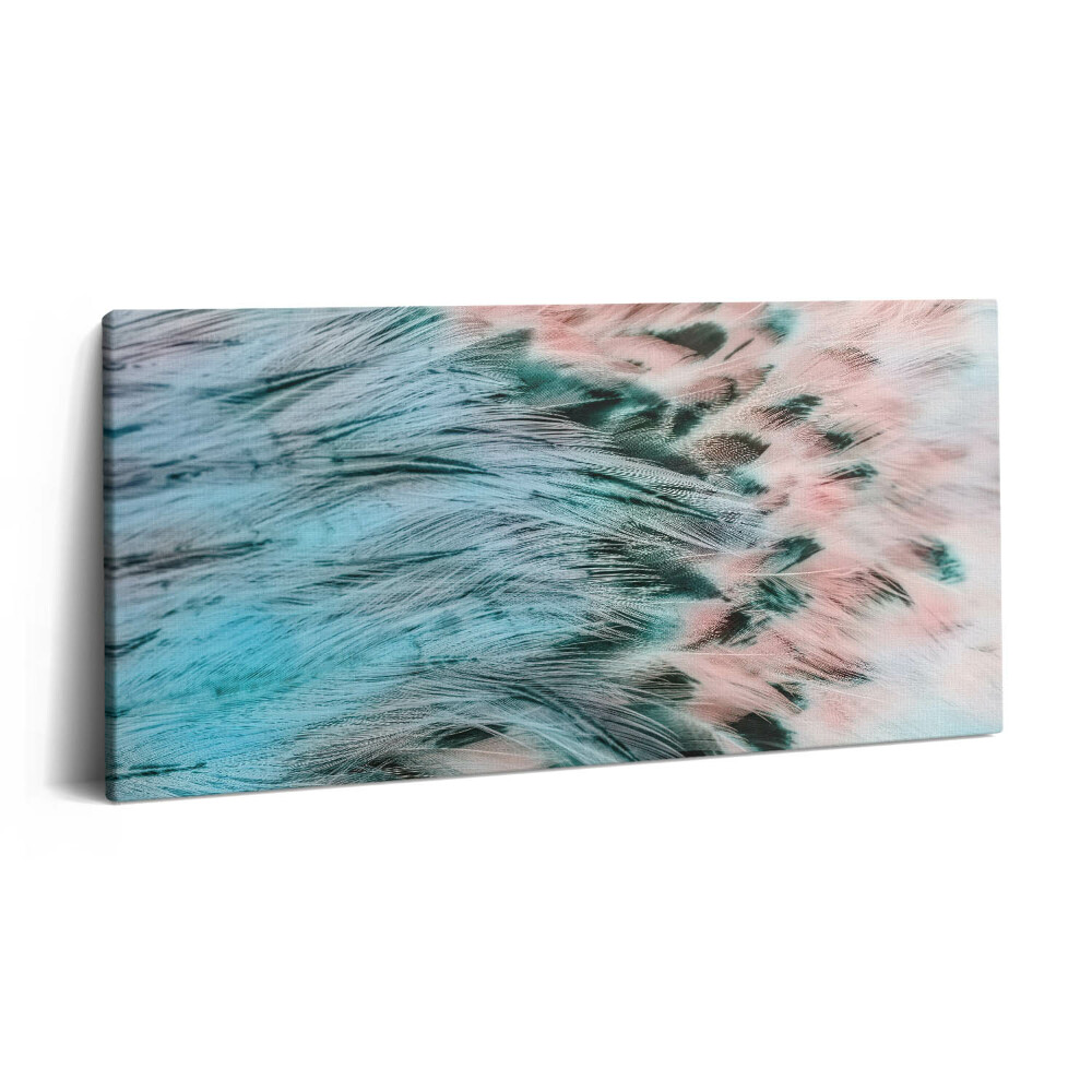 Obraz z fotografie na plátně 140x70 cm Barevné peří