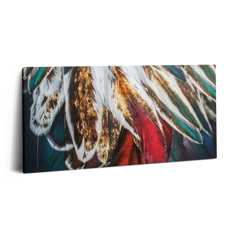 Obraz canvas 140x70 cm Světle hnědé ptačí peří